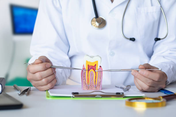 Best Emergency Dental Services for Seniors in Baldwin, GA